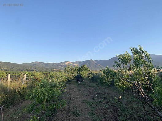 DENİZLİ HONAZ KOCABAŞ MAHALLESİNDE  688 M² TARLA  SATILIKTIR - DENİZLİ HONAZ fotoğraf 3