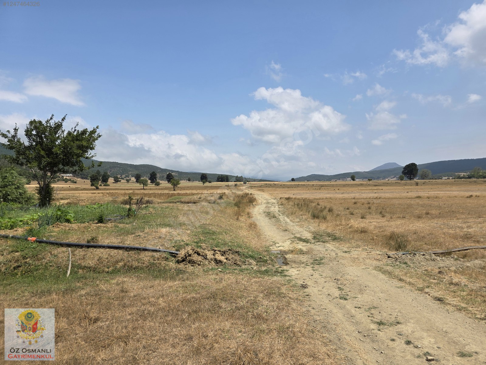 RESMİ YOLU OLAN 4,600 m2 ÇİFTLİK ARAZİSİ KAÇMAZ ! - BİLECİK OSMANELİ fotoğraf 12