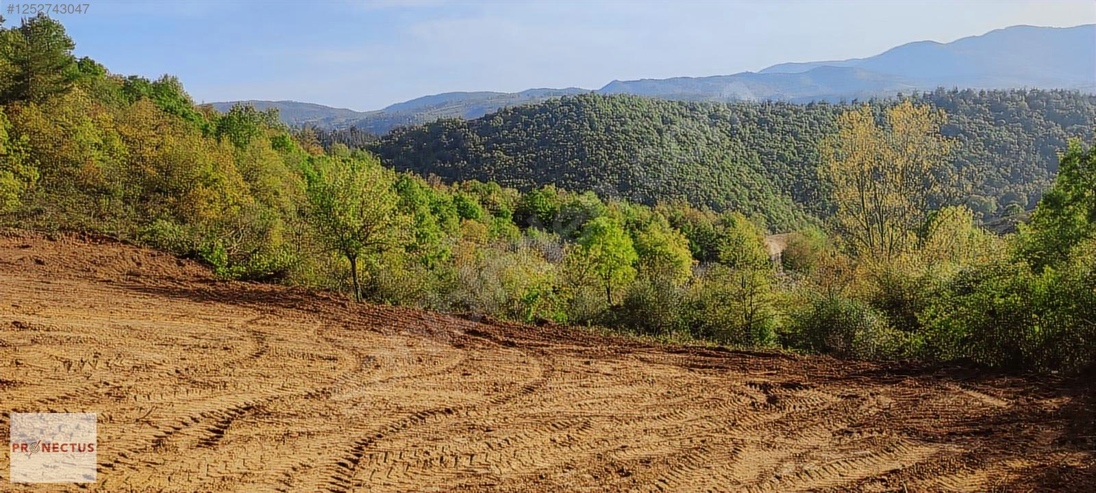ÇAMDİBİ BOZKURT MAHALLESİNDE 665 M2 SATILIK TARLA - KOCAELİ KARAMÜRSEL fotoğraf 4