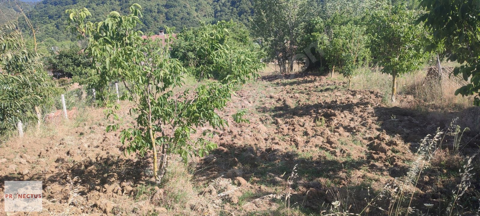 AVCIKÖY MAH. KÖY YERLEŞİM ALANI İÇERİSİNDE 724 M2 SATILIK ARSA - KOCAELİ KARAMÜRSEL fotoğraf 4