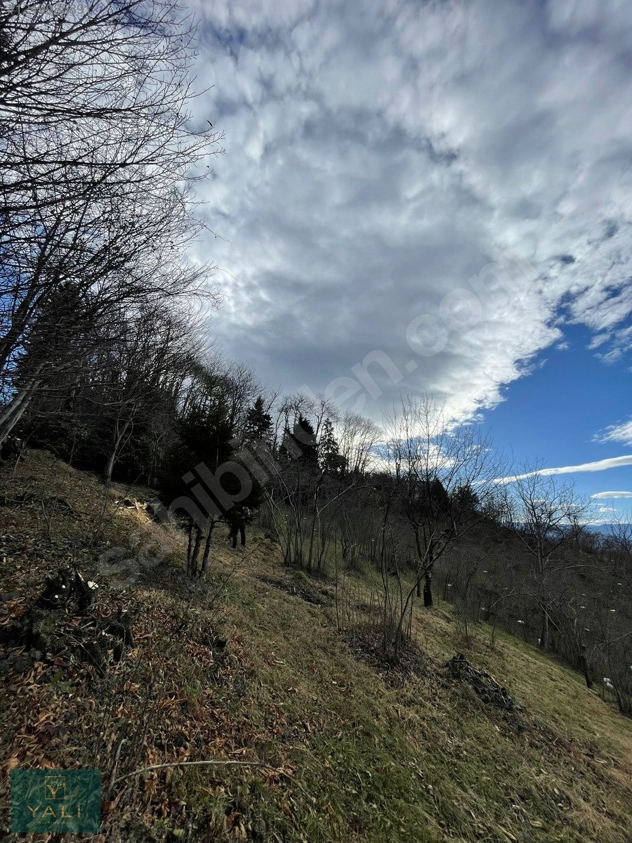 ÇITLAKKALEDE 1050M2 MUHTEŞEM DENİZ MANZARALI İMARLI ARSA - GİRESUN MERKEZ fotoğraf 9