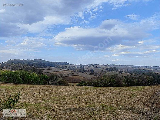 KOCAELİ ARAMAN DA ADAPAZARI KANDIRA YOLUNA CEPHELİ 3506 M2 TARLA - KOCAELİ KANDIRA fotoğraf 2