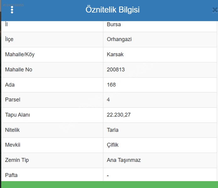 Bursa Orhangazi Karsak'ta Satılık 22.230 metrekare Tarla - BURSA GEMLİK fotoğraf 6