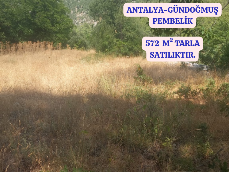 ANTALYA GÜNDOĞMUŞ PAMBELİK  KÖYÜNDE 572  M² TARLA   SATILIKTIR - ANTALYA GÜNDOĞMUŞ fotoğraf 2