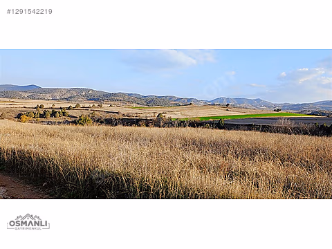 7.480 M2, RESMİ YOLA CEPHELİ, MANZARALI, %5 İMARLI SATILIK ARAZİ - BİLECİK SÖĞÜT fotoğraf 5