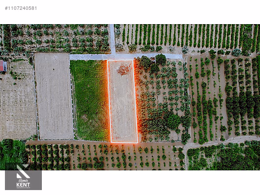 Kemalpaşa Aşağıkızılca Satılık Bahçe 1.200 m2 Tek Tapu - İZMİR KEMALPAŞA fotoğraf 9