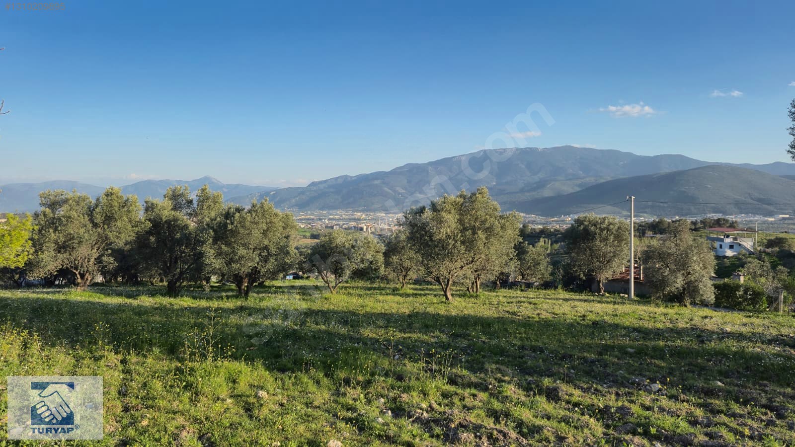 Kemalpaşa Ulucak Villalar Bölgesi Satılık Arazi