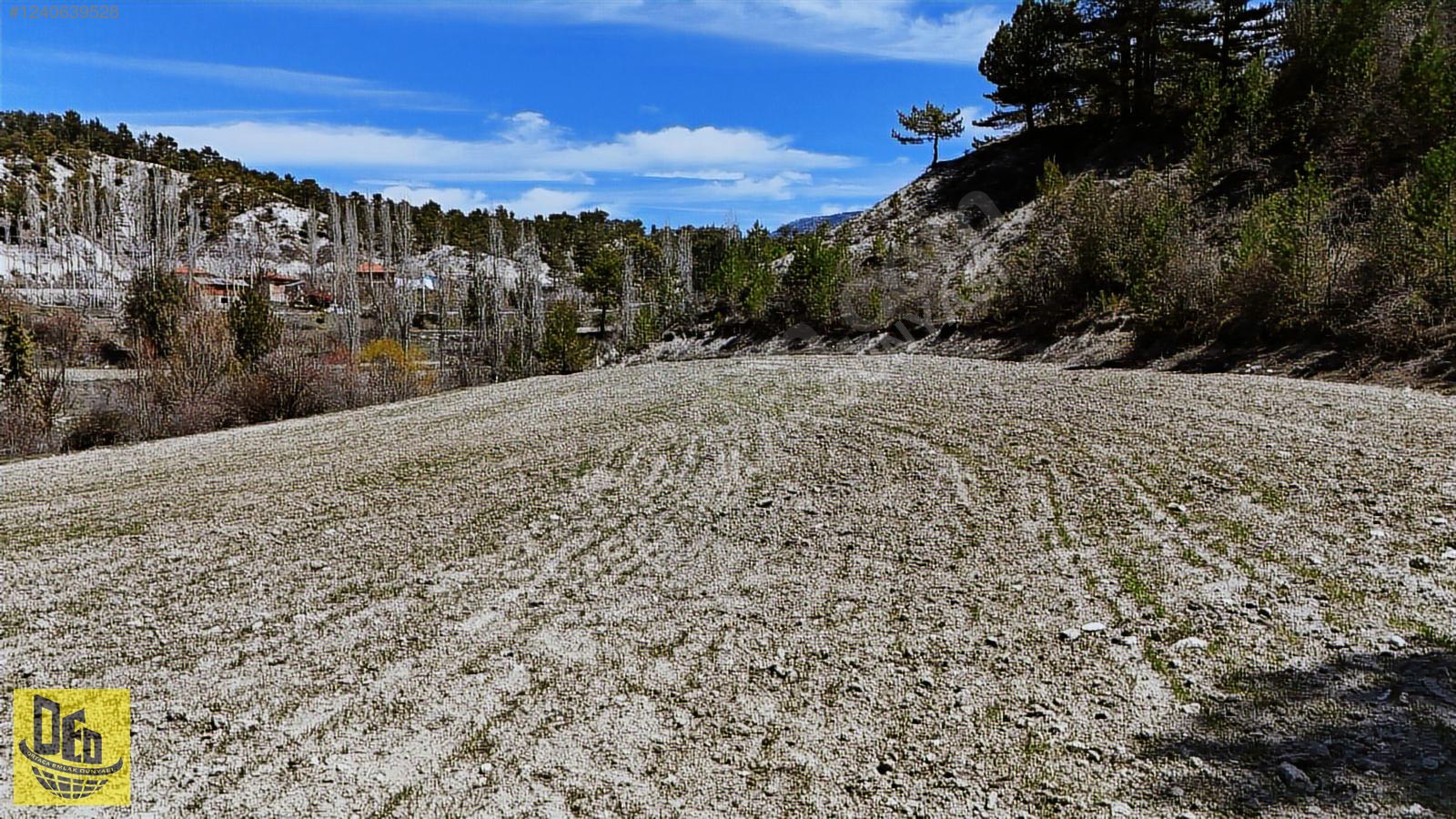 ÇAMELİ KOCAOVA SATILIK YOLU OLAN 6.176m2 FIRSAT TARLA - DENİZLİ ÇAMELİ fotoğraf 6