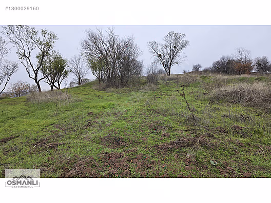 RESMİ YOLLU 800 M2 MANZARALI HOBİ BAHÇESİ - BİLECİK GÖLPAZARI fotoğraf 4
