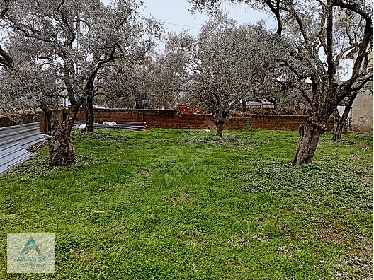Atlantik gayrimenkul den satılık imarlı arsa - İZMİR ÖDEMİŞ fotoğraf 8