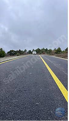 BİLECİK YENİPAZAR CAFERLER KÖYÜNDE 1.774M2 MÜSTAKİL TAPULU BAĞ - BİLECİK YENİPAZAR fotoğraf 3
