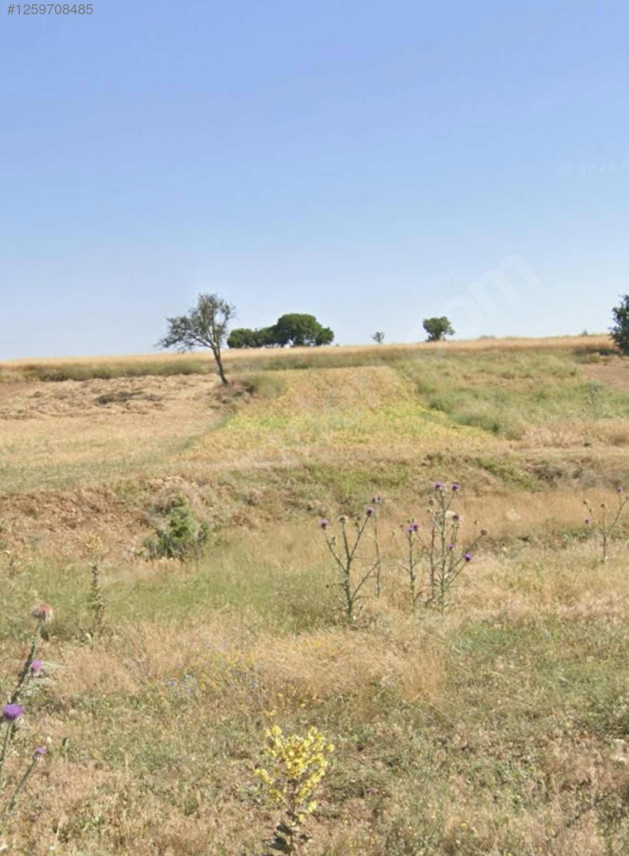 KÖY İÇİ %40 2 KAT İMARLI 942M² KAÇIRILMAYACAK ARSA !!! - KÜTAHYA ÇAVDARHİSAR fotoğraf 5