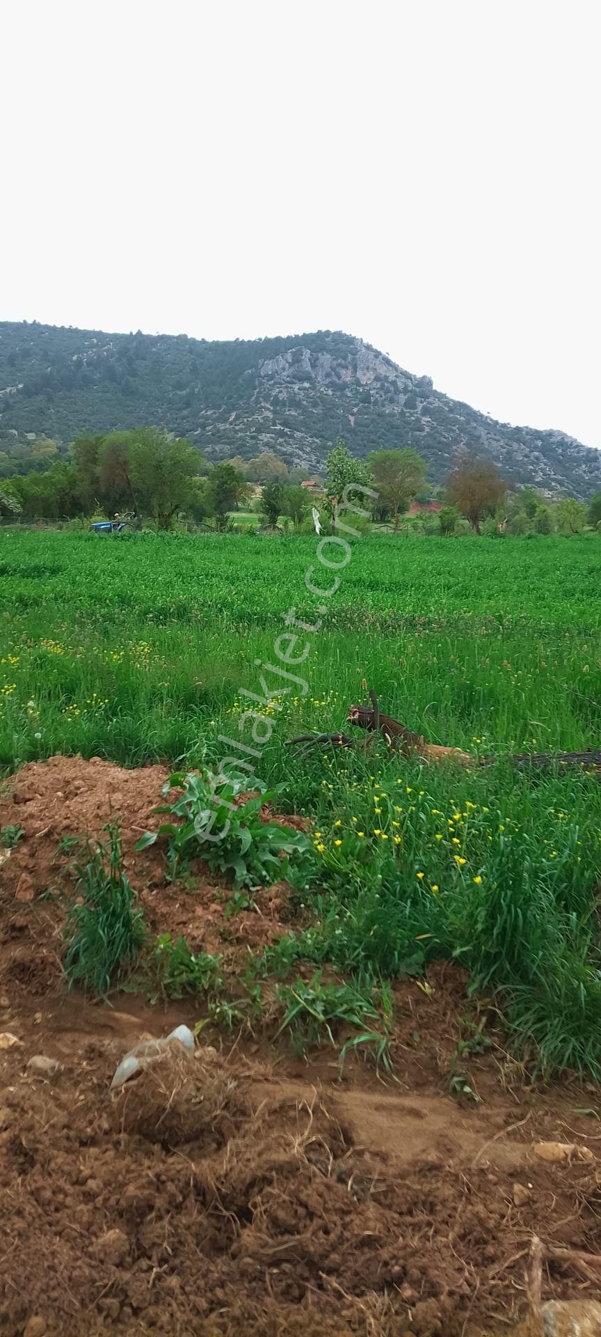 Burdur Ağlasun Hisarköy' De Kadastro Yolu Sulama Suyu Olan Satılık Tarla - BURDUR AĞLASUN fotoğraf 3