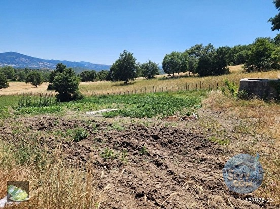 🚨 DURSUNBEY OSB YAKININDA 2.547 M² YATIRIMLIK VERİMLİ TARLA 🚨 - BALIKESİR DURSUNBEY fotoğraf 33