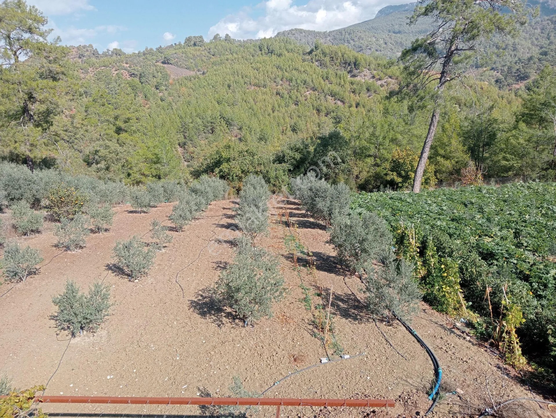 Antalya Kumlucada Satılık Müstakil Bahçe İnceoğlu Emlak - ANTALYA KUMLUCA fotoğraf 24