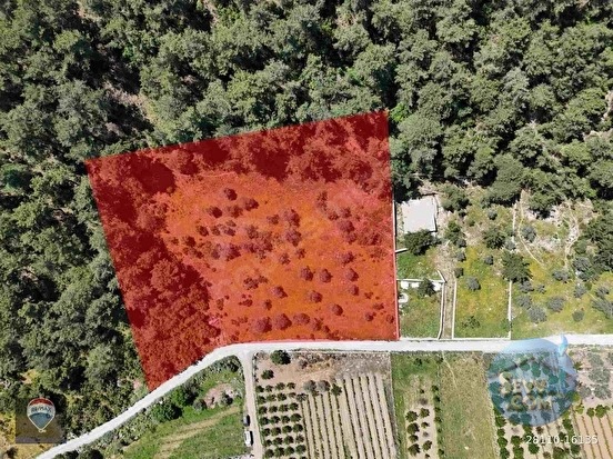 KUŞADASI KİRAZLI KÖYÜ’NDE SATILIK 5740 M2 TARLA - AYDIN KUŞADASI fotoğraf 4