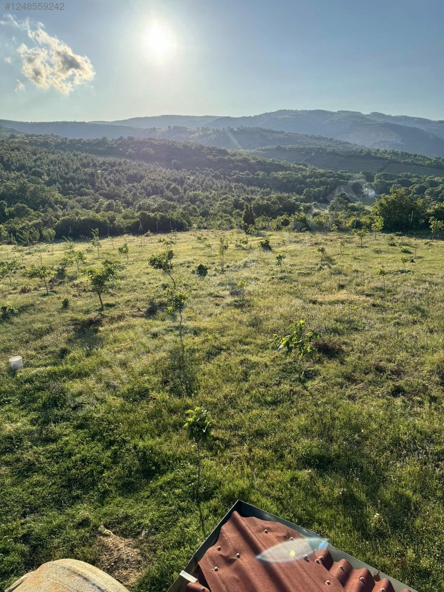 BURSA İZNİK BAYINDIR KÖYÜNDE 5.009 M TARLA SATILIKTIR - BURSA İZNİK fotoğraf 29