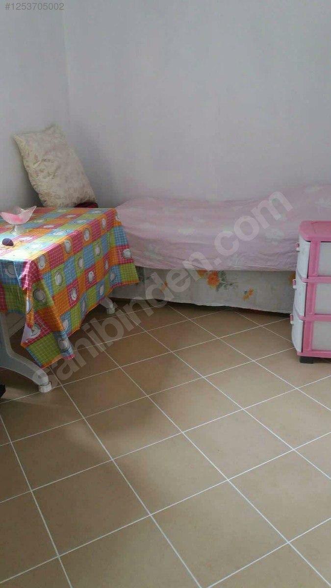 BURSA MUDANYA DEREKÖY KÖYÜNDE 2.526 M²  ZEYTİNLİK SATILIKTIR - BURSA MUDANYA fotoğraf 25