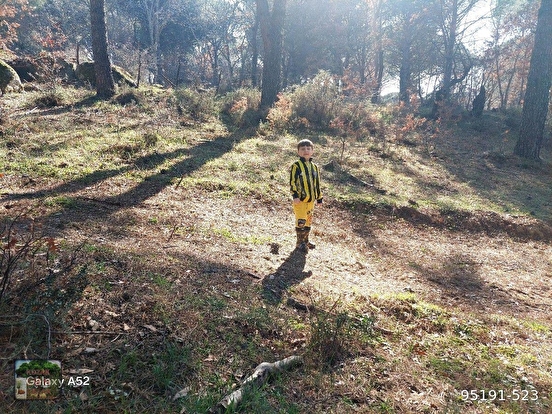 BERGAMA KOZAK YAYLASI YUKARIBEY KARAVELİLER MAH YOLUNDA 11920 m2 fıstıklık