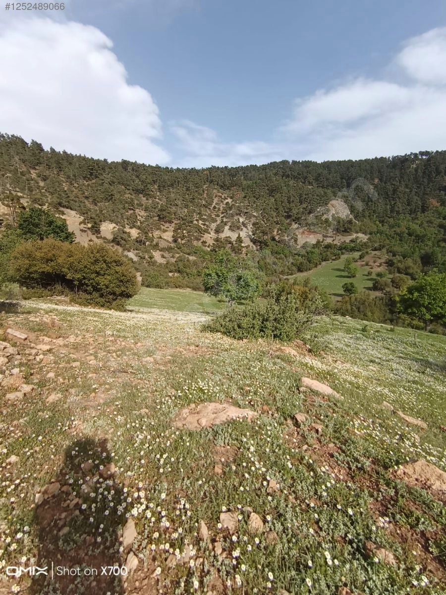Antalya Konyaaltı Doyran Yayla 1.200 m² Tek Tapu Konyaalti Sahile 30 dk - ANTALYA KONYAALTI fotoğraf 4