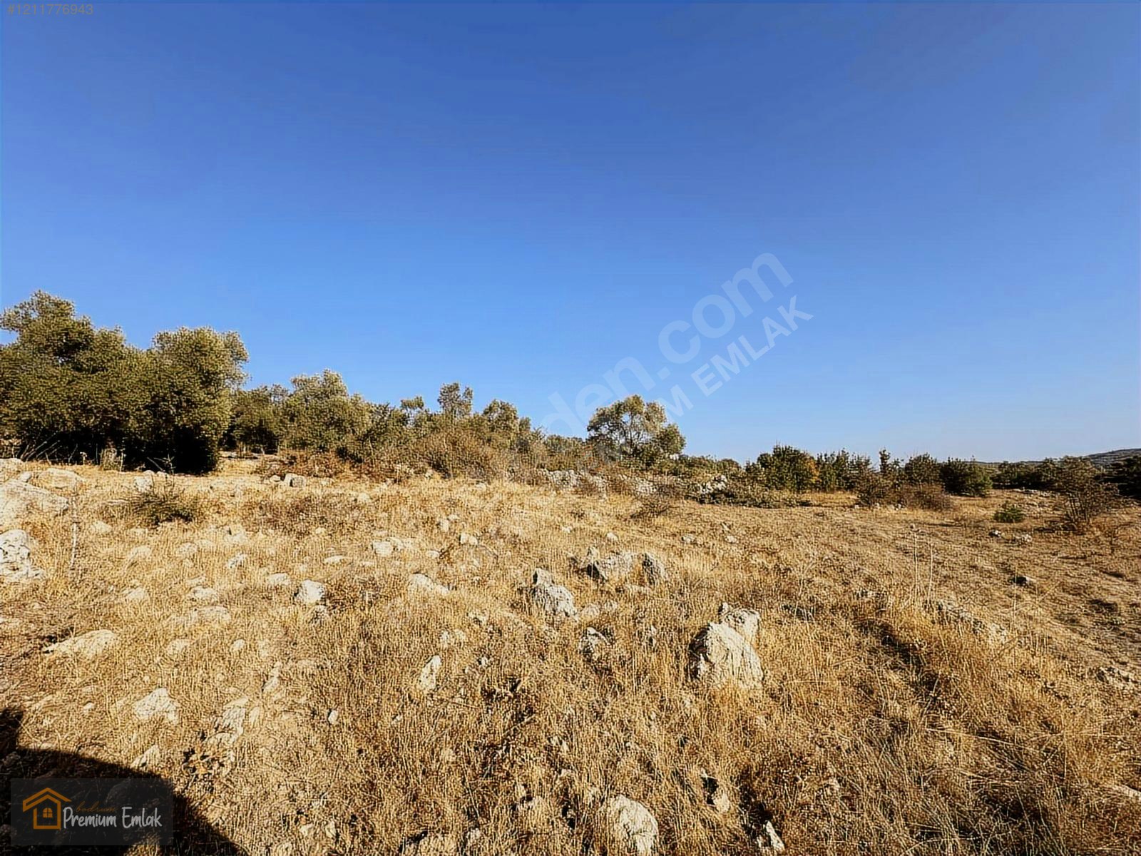 MİLAS KARACAHİSAR MAH.SU ELEKT YOLA SIFIR 10.754mt SATILIK TARLA - MUĞLA MİLAS fotoğraf 9