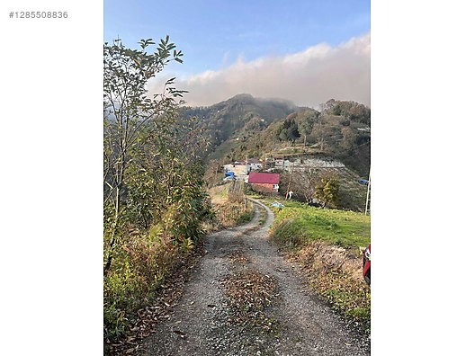 ESPİYE SATILIK BAHÇE 2650 MK HACIMAHMUTLU KÖYÜ ŞEHRE 15 DK - GİRESUN ESPİYE fotoğraf 4