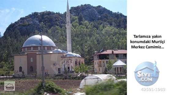 Murtiçine Yakın Konumda Acil Satılık Tarla - ANTALYA AKSEKİ fotoğraf 19