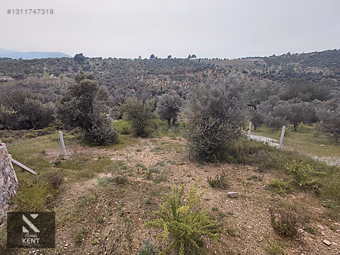 Kemalpaşa Yenmiş'de Satılık Bahçe 406 m2 - İZMİR KEMALPAŞA fotoğraf 8