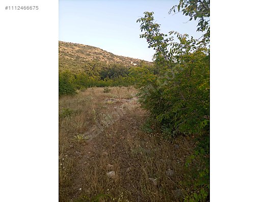 DENİZLİ BEKİLLİ DEŞDEMİR KÖYÜNDE  5.489 M²   TARLA SATILIKTIR - DENİZLİ BEKİLLİ fotoğraf 9