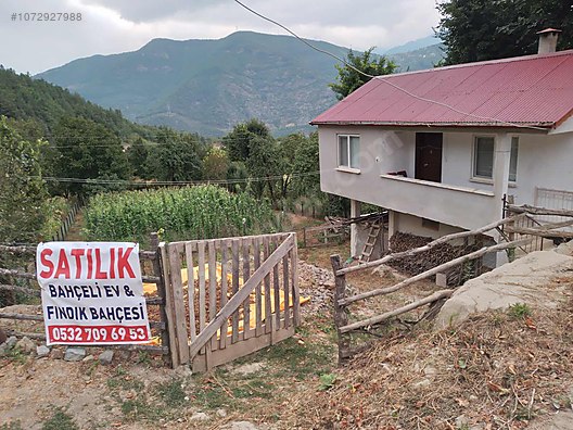 1500 m2 arsalı müstakil ev + 3200 m2 fındık bahçesi - ARTVİN BORÇKA fotoğraf 7