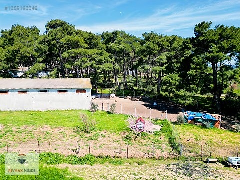 Çanakkale Bayramiç Kutluoba Satılık Tarla - ÇANAKKALE BAYRAMİÇ fotoğraf 24