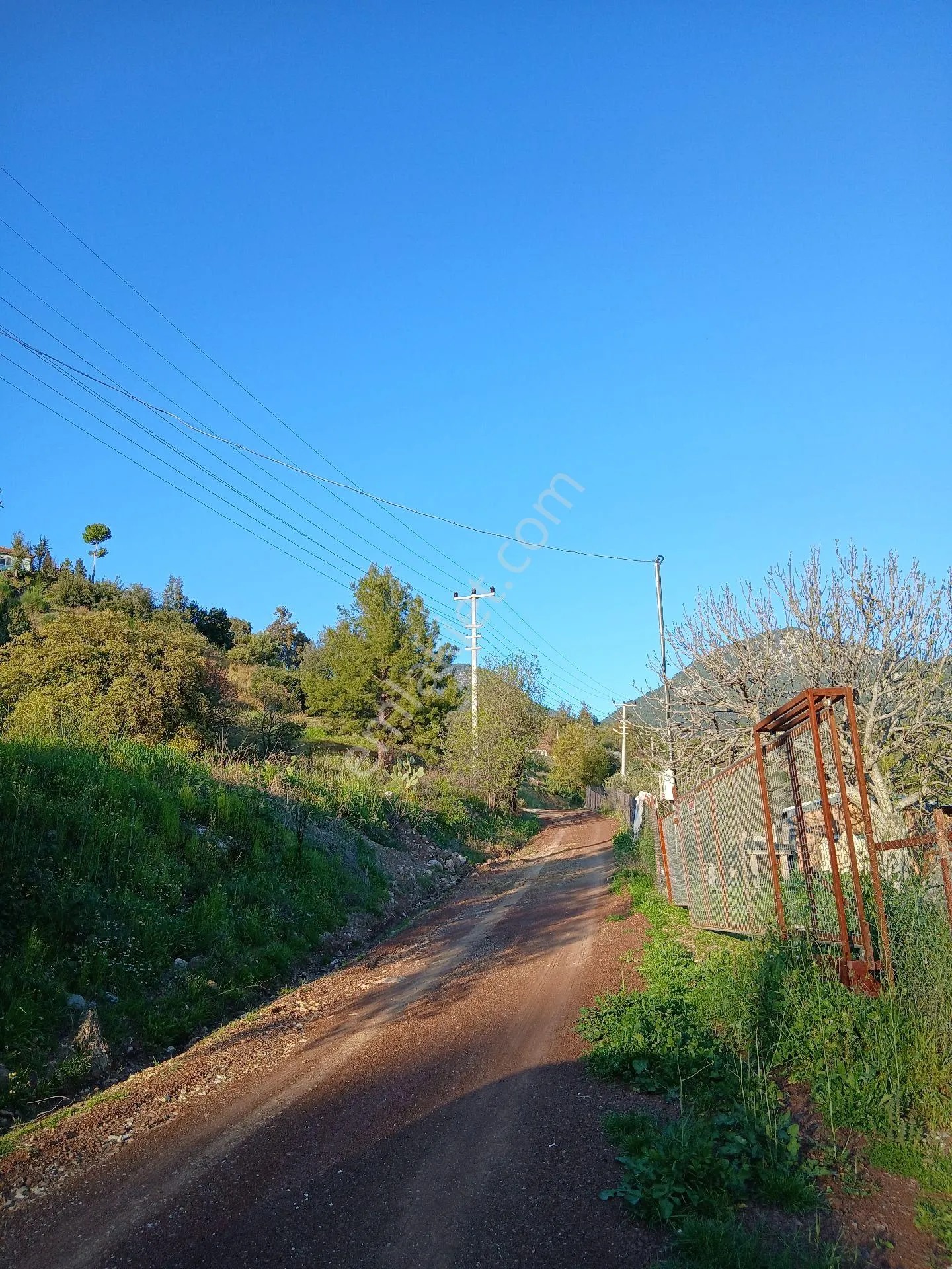 Erentepe Mahallesi Satılık Bahçe - ANTALYA KUMLUCA fotoğraf 8