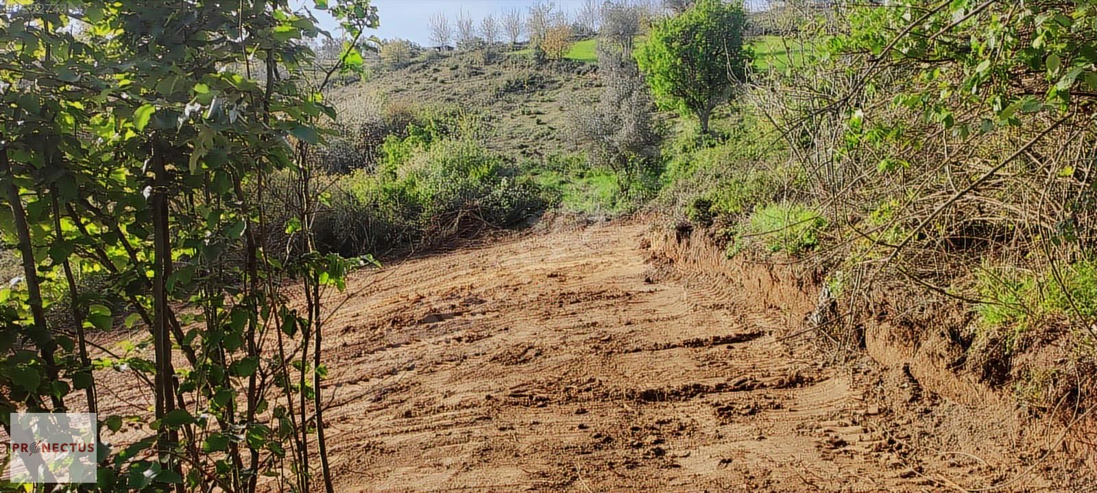 ÇAMDİBİ BOZKURT MAHALLESİNDE 665 M2 SATILIK TARLA - KOCAELİ KARAMÜRSEL fotoğraf 6