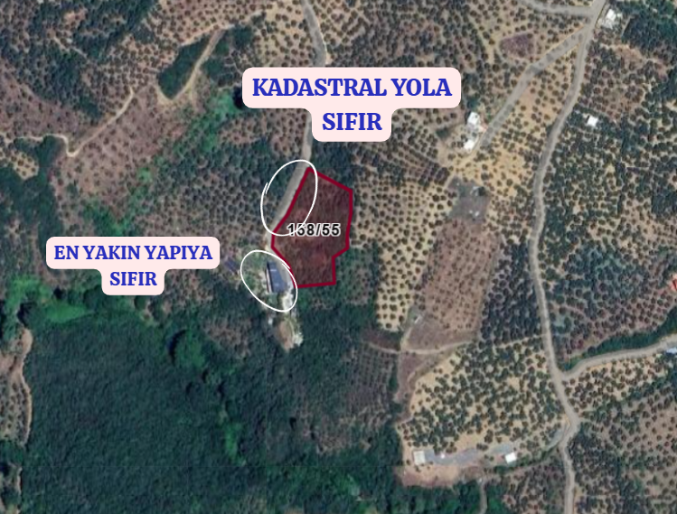 BURSA MUDANYA TİRİLYE (TALATBEY)  KÖYÜNDE 3.753 M²  ZEYTİNLİK SATILIKTIR - BURSA MUDANYA fotoğraf 3