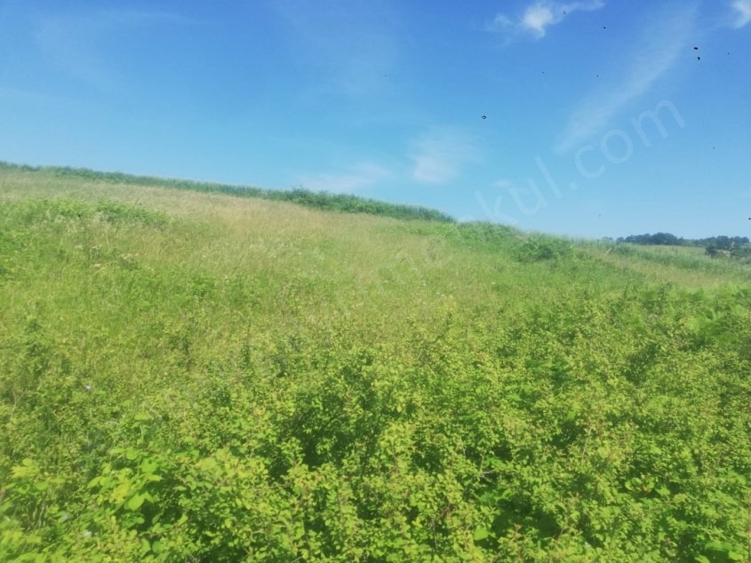 YETIRIM VE HAYVANCILIK VE ÇOK AMAÇLI OLARAK DEĞERLENDİRME YAPILABİLİR. - KOCAELİ KANDIRA fotoğraf 2