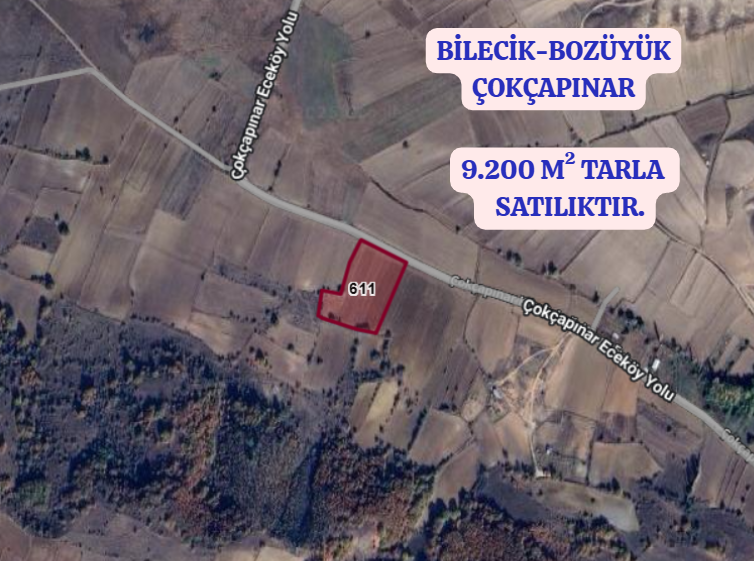 BİLECİK BOZÜYÜK ÇOKÇAPINAR  KÖYÜNDE 9.200 M² TARLA  SATILIKTIR - BİLECİK BOZÜYÜK fotoğraf 2
