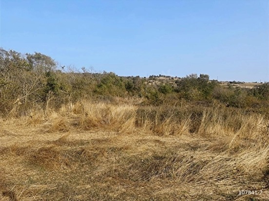 SÜLEYMANDANIŞMENT KÖYÜNDE 1326 M2 BAĞ TAPU YATIRIMLIK ARAZİ - EDİRNE LALAPAŞA fotoğraf 13