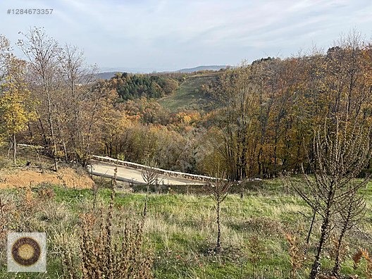 KESTEL LÜTFIYE MH SATILIK 1806M2 TARLA ASVALT YOLA CEPHE - BURSA KESTEL fotoğraf 36