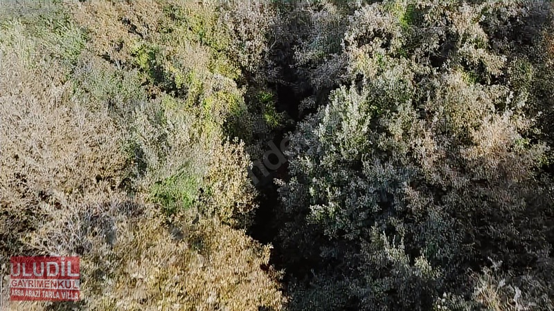 KANDIRA ÇALKÖYDE SATILIK TARLA - KOCAELİ KANDIRA fotoğraf 16