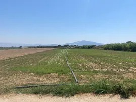 Torbalı Şehitler Mahallesi - İZMİR TORBALI fotoğraf 2