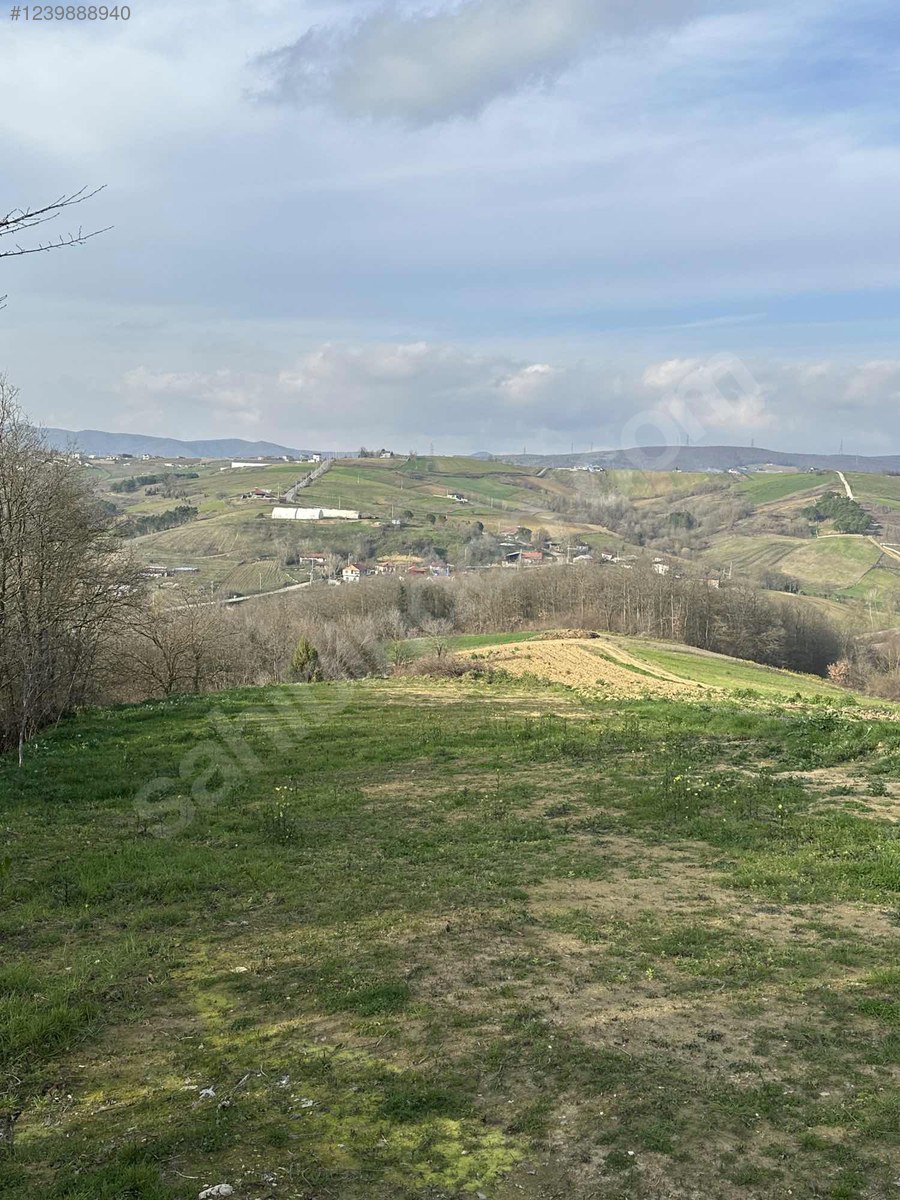 İSHAKÇILAR ÇAVUŞLUDA ASFALT YOLA SIFIR 1.250m2 MÜSTAKİL - KOCAELİ DERİNCE fotoğraf 5