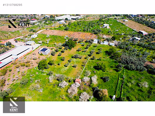 Kemalpaşa Armutlu Satılık Arazi 4.000 m2 - İZMİR KEMALPAŞA fotoğraf 23