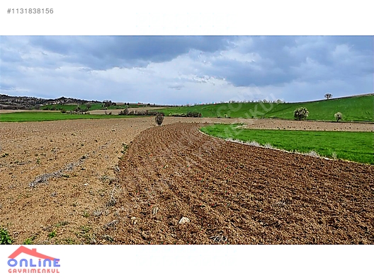 Araç Takaslı - BİLECİK YENİPAZAR fotoğraf 25