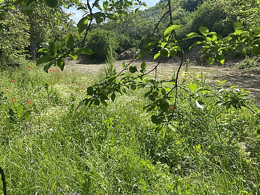 İMARLI ARAZİ - BURSA GEMLİK fotoğraf 9