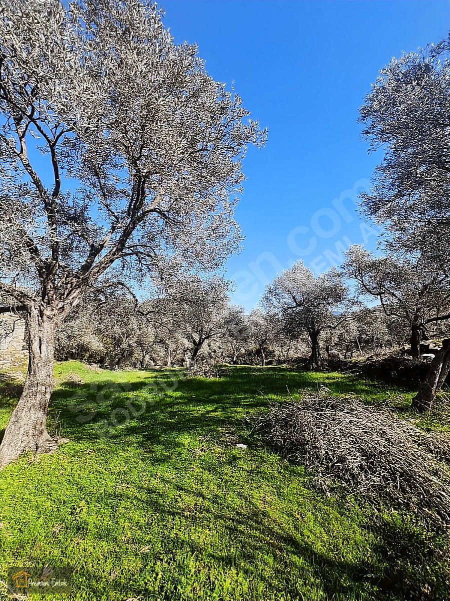 MİLAS KARACAHİSARDA KÖY İÇİ KAĞİR EV VE 980 M2 ARSASI - MUĞLA MİLAS fotoğraf 22