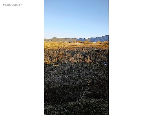 GÜLTEKİN EMLAKTAN YAMADIDA ÇAVDIR YOLU ÜZERİNDE SATILIK TARLA - BURDUR GÖLHİSAR fotoğraf 2