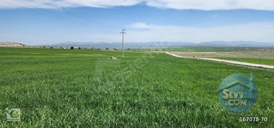 🚨 KÜTAHYA MERKEZ'DE 8.100 M² ÇİFTLİK VE PROJE YAPIMINA UYGUN HARİKA ARAZİ 🚨 - KÜTAHYA MERKEZ fotoğraf 14
