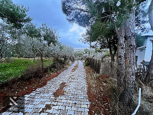 Kemalpaşa Armutlu Hürriyet Mah. Satılık 1.950 m2 Bahçe - İZMİR KEMALPAŞA fotoğraf 18