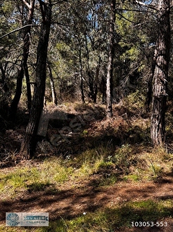 KAŞ GELEMİŞ ACİL SATILIK 2B TARLA... - ANTALYA KAŞ fotoğraf 4