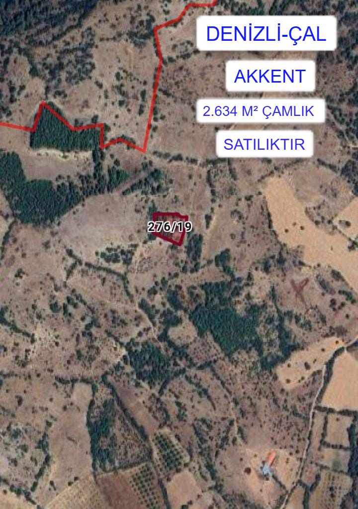 DENİZLİ ÇAL AKKENT MAH 2.634M² ÇAMLIK  SATILIKTIR - DENİZLİ ÇAL fotoğraf 6